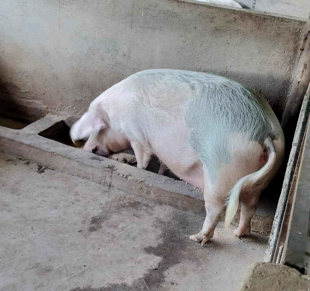 WhatsApp Image 2026-01-13 at 12.00.00 PM