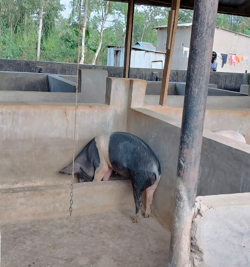 WhatsApp Image 2026-01-13 at 12.00.02 PM (1)