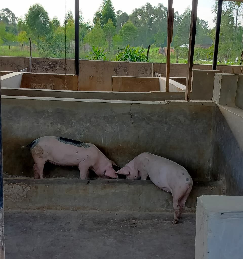 WhatsApp Image 2026-01-13 at 12.00.05 PM (2)